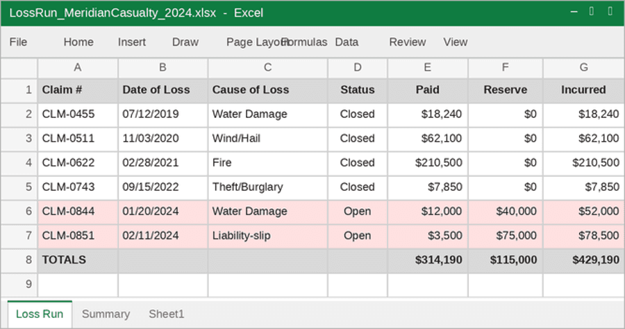 Sample insurance loss run